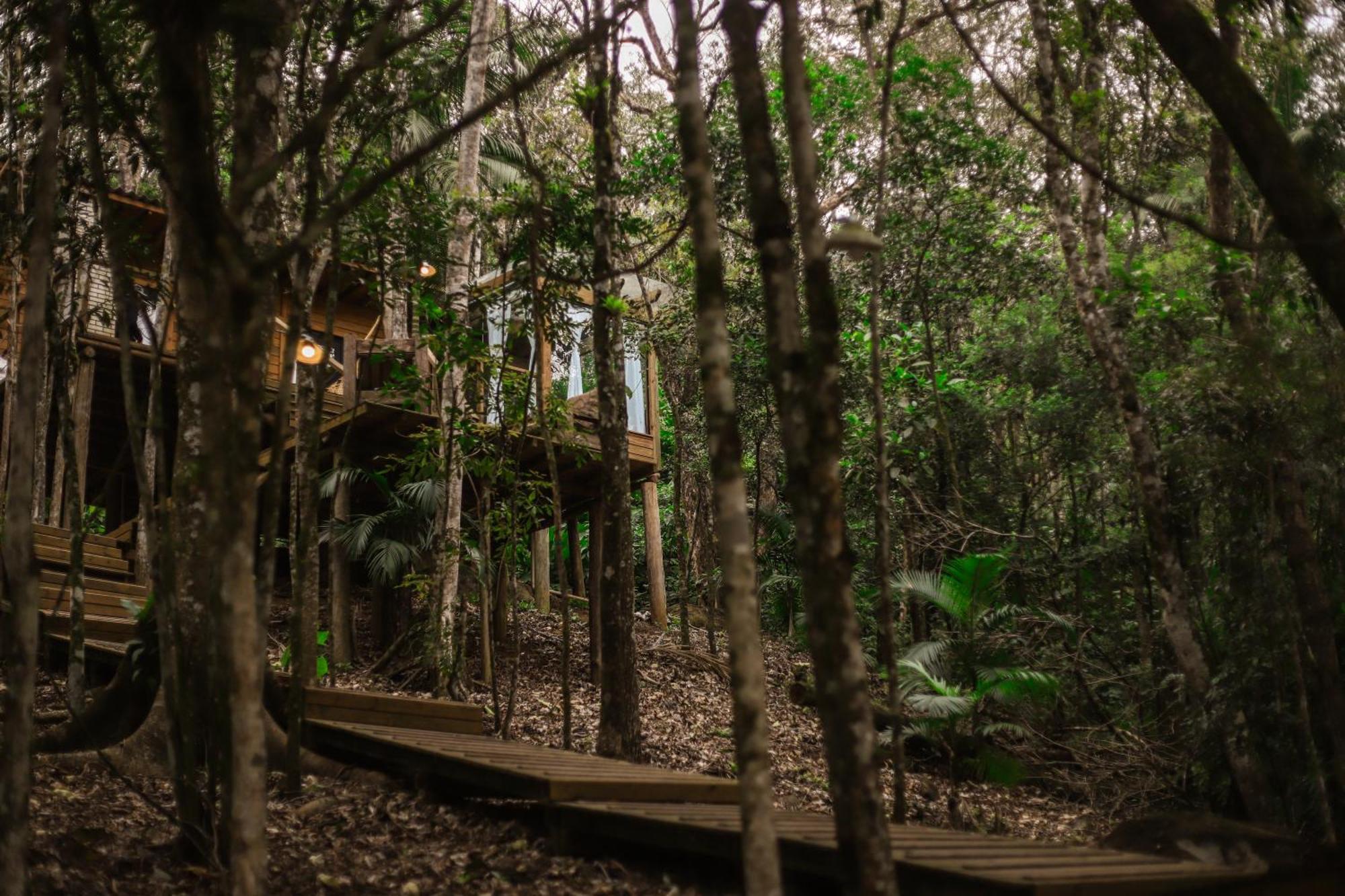 Chale Da Arvore, Vivenda Serra Velha, Chales De Montanha Timbe do Sul Exterior foto